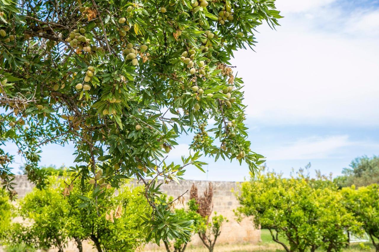 Masseria Baroni Nuovi Villa Bríndisi Exterior foto