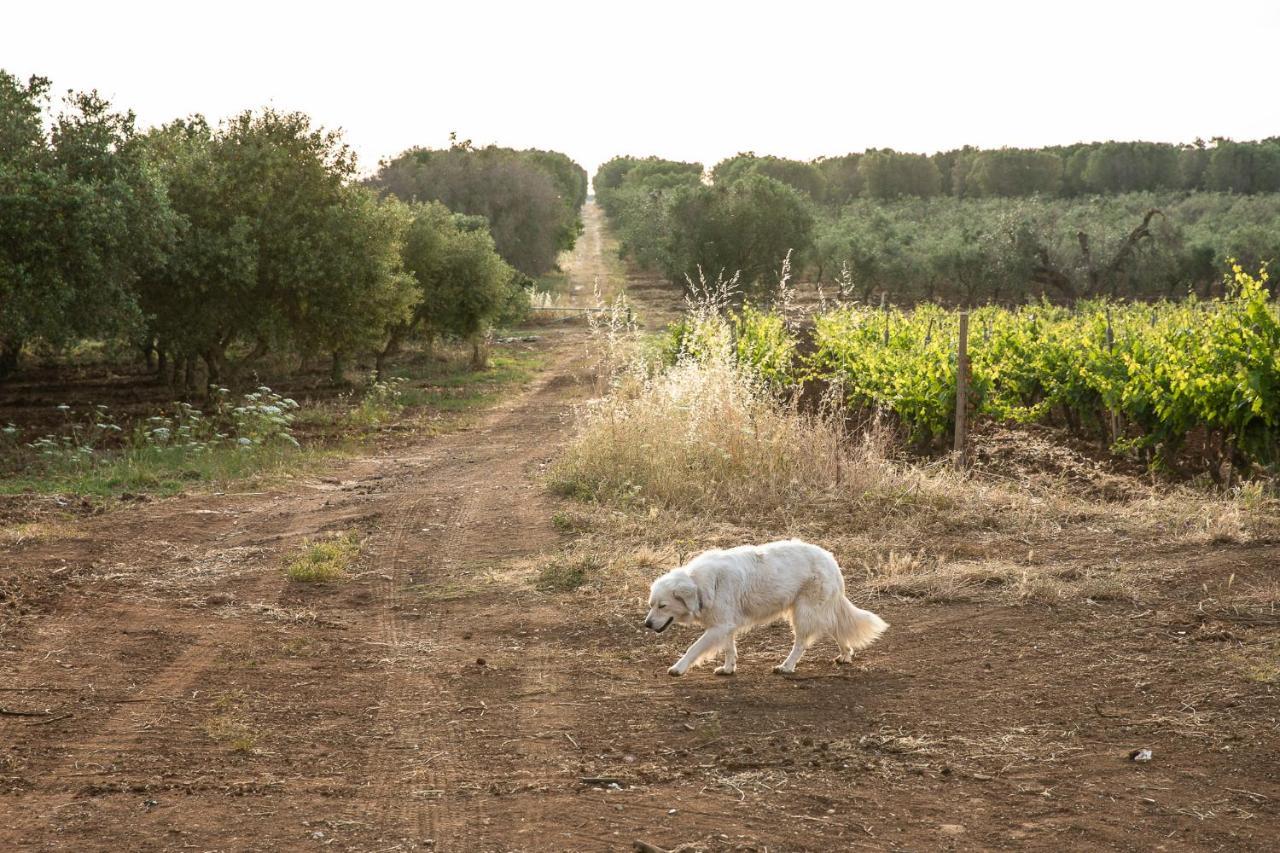 Masseria Baroni Nuovi Villa Bríndisi Exterior foto