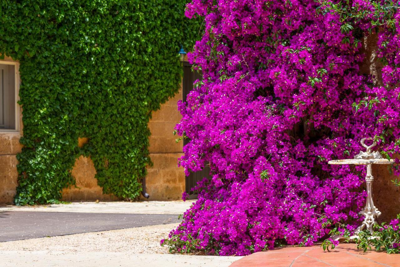 Masseria Baroni Nuovi Bríndisi Exterior foto