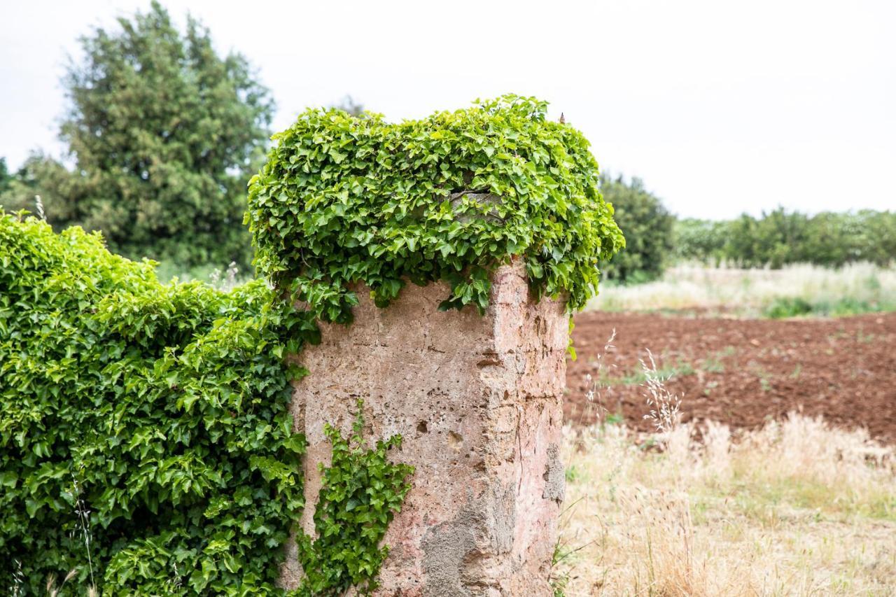 Masseria Baroni Nuovi Villa Bríndisi Exterior foto